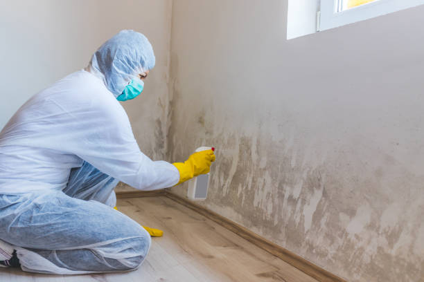 Licensed Commercial Mold Remediation service in Forest Heights, TX - 24 Hour Mold Removal